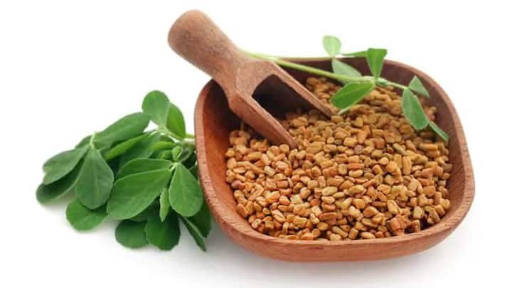 1. Methi (Fenugreek): Methi is one of the most widely known Ayurvedic remedies for managing diabetes. Rich in soluble fibre, it helps slow down the absorption of carbohydrates and sugar in the digestive tract, leading to more stable blood sugar levels. Incorporating fenugreek into your daily diet can help manage post-meal glucose spikes, making it a valuable herb for those looking to regulate their blood sugar naturally. (Image Source: Pinterest/slurrpapp)