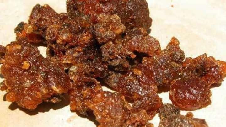 7. Sudh Guggal (Commiphora Mukul): Sudh Guggal is revered in Ayurveda for its metabolic-regulating properties. It helps to improve insulin sensitivity and lower blood sugar levels, making it an essential herb for diabetes management. In addition to its role in regulating glucose metabolism, Sudh Guggal also possesses anti-inflammatory and lipid-lowering properties, which can aid in preventing complications often associated with diabetes, such as cardiovascular issues. (Image Source: Pinterest/ebaycouk)