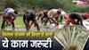 आने वाला है पीएम किसान योजना का पैसा, उससे पहले निपटा लें ये काम