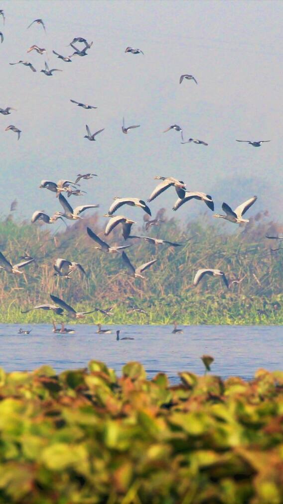 रविवार के दिन परिवार के साथ घूमने के लिए बेस्ट हैं ये जगहें