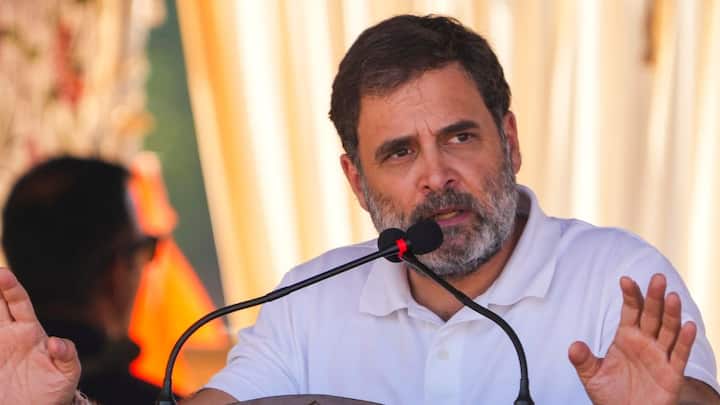 हरियाणा विधानसभा चुनाव में अब ज्यादा दिन नहीं बचे हैं. चुनाव प्रचार के आखिरी हफ्ते में कांग्रेस पूरी ताकत झोंक देना चाहती है. सूत्रों की मानें तो हरियाणा में राहुल गांधी न्याय यात्रा निकालने वाले हैं.