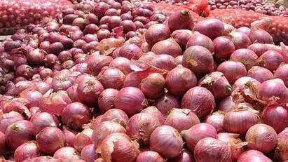 Thanjavur news Increase in price of garlic, big onion, tomato - TNN பூண்டு ரைட்ல, பெரிய வெங்காயம் லெப்டுல, தக்காளி விலையோ அப்-ல: உயரும் விலையால் வேதனையில் குடும்ப தலைவிகள்