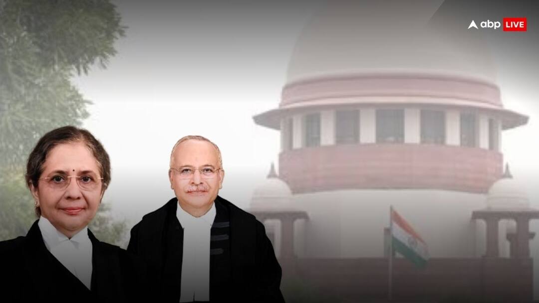 विधवा मेकअप क्यों नहीं कर सकतीं? सुप्रीम कोर्ट ने खोल दी 39 साल पुराने केस की फाइल और HC के टिप्पणियां पढ़कर रहा गया हैरान Supreme Court gets upset on Patna High Court comments widow not required makeup in Kidnapping Murder Case विधवा मेकअप क्यों नहीं कर सकतीं? सुप्रीम कोर्ट ने खोल दी 39 साल पुराने केस की फाइल और HC के टिप्पणियां पढ़कर रहा गया हैरान