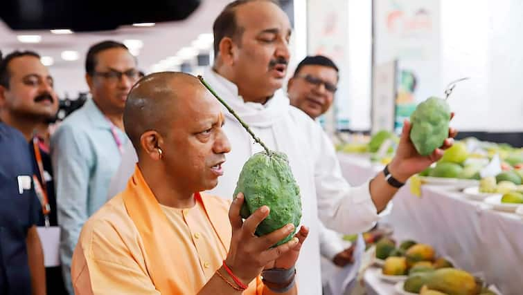 योगी सरकार के इस फैसले से आम की खेती करने वालों की बल्ले-बल्ले, शुरू होगा ये खास प्लांट