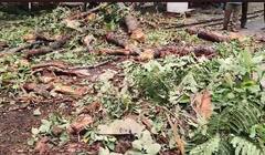 Vadodara: વડોદરામાં 110 કિમીની ઝડપે પવન સાથે પડ્યો ભારે વરસાદ,ગરબા ગ્રાઉન્ડમાં પાણી ભરાતા આયોજકો ચિંતામાં