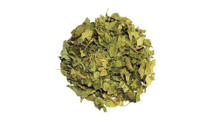 4. Gudmar (Gymnema Sylvestre): Gudmar, which literally translates to “sugar destroyer” in Sanskrit, is a well-known Ayurvedic herb for diabetes management. Gudmar’s active compounds are known to block sugar absorption and improve insulin production. The herb also helps reduce sugar cravings by suppressing the taste of sweetness, making it easier for individuals to manage their dietary intake. Additionally, its antioxidant properties supports overall pancreatic health and improve glucose metabolism. (Image Source: Pinterest/ebaycouk)