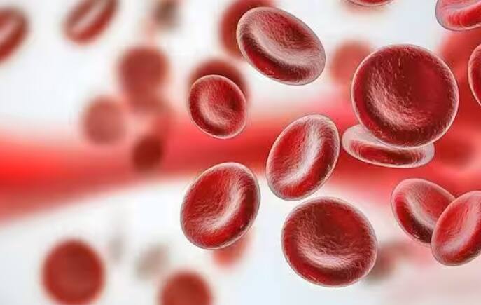 ਆਮ ਤੌਰ 'ਤੇ ਸਿਹਤਮੰਦ ਸਰੀਰ ਵਿਚ 5-6 ਲੀਟਰ ਖੂਨ ਹੁੰਦਾ ਹੈ। ਪਲੇਟਲੈਟਸ ਸਿਰਫ ਖੂਨ ਵਿੱਚ ਮੌਜੂਦ ਹੁੰਦੇ ਹਨ। ਜਿਸ ਦਾ ਕੰਮ ਖੂਨ ਨੂੰ ਜਮਾਉਣਾ ਹੈ ਅਤੇ ਸਰੀਰ ਵਿਚੋਂ ਖੂਨ ਵਗਣ ਨੂੰ ਰੋਕਣਾ ਹੈ। ਇਨ੍ਹਾਂ ਨੂੰ ਥ੍ਰੋਮਬੋਸਾਈਟਸ ਕਿਹਾ ਜਾਂਦਾ ਹੈ। ਇਨ੍ਹਾਂ ਦੀ ਪ੍ਰਤੀ ਮਾਈਕ੍ਰੋਲੀਟਰ ਖੂਨ ਦੀ ਗਿਣਤੀ 1.5 ਲੱਖ ਤੋਂ 4.5 ਲੱਖ ਤੱਕ ਹੁੰਦੀ ਹੈ। ਜੇਕਰ ਇਹ 30,000 ਤੋਂ ਘੱਟ ਹੋ ਜਾਣ ਤਾਂ ਸਰੀਰ ਵਿੱਚੋਂ ਖੂਨ ਵਗਣਾ ਸ਼ੁਰੂ ਹੋ ਜਾਂਦਾ ਹੈ ਅਤੇ ਨੱਕ, ਕੰਨ, ਪਿਸ਼ਾਬ ਅਤੇ ਮਲ ਰਾਹੀਂ ਬਾਹਰ ਆਉਣਾ ਸ਼ੁਰੂ ਹੋ ਜਾਂਦਾ ਹੈ।