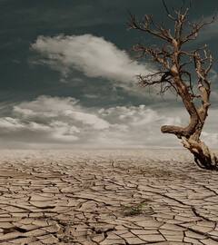 कैसे बदल गया सहारा रेगिस्तान का रंग, कभी सोचा ना था वो हो गया