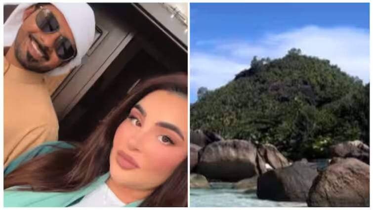 dubai businessman buys rs 418 crore private island for wife to wear bikini Dubai Businessman: வீட்டுக்காரம்மா பிகினி போடனும்..! ரூ.418 கோடிக்கு தனித்தீவை வாங்கிய தொழிலதிபர்
