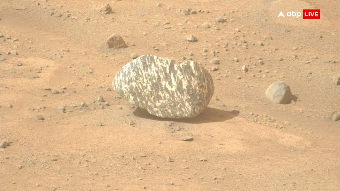 Striped, Unusual, And Full Of Mystery: Meet Freya Castle, The 'Zebra Rock' NASA Mars Rover Stumbled Upon NASA Perseverance Rover finds Mysterious ‘Zebra Rock’ On Mars All About Freya Castle Striped, Unusual, And Full Of Mystery: Meet Freya Castle, The 'Zebra Rock' NASA Mars Rover Stumbled Upon