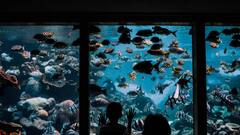 Aquarium Benefits:সুখ-সমৃদ্ধিতে ভরবে সংসার, ঘরের কোথায় রাখবেন অ্যাকোয়ারিয়াম?