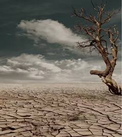 સહારાના રણનો રંગ કેમ બદલાયો, ક્યારેય વિચાર્યું ન હતું એવું થઈ ગયુ