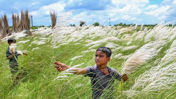 বাংলায় অক্টোবরের প্রথম সপ্তাহ এবং দ্বিতীয় সপ্তাহে স্বাভাবিকের তুলনায় বেশি বৃষ্টির সম্ভাবনা। তার ফলে বৃষ্টি পুজোকে মাটি করে দিতে পারে বলে আশঙ্কা।