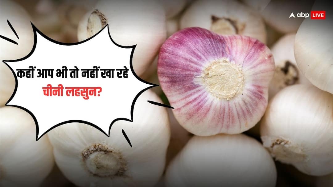 10 साल बाद क्यों धड़ल्ले से बिकने लगा चाइनीज गार्लिक? भारत के कोर्ट भी परेशान, जान लें कितनी घातक है चीनियों की ये चाल? Chinese Garlic in Indian Market Know all about side effects how to identify everything about Chinese Garlic 10 साल बाद क्यों धड़ल्ले से बिकने लगा चाइनीज गार्लिक? भारत के कोर्ट भी परेशान, जान लें कितनी घातक है चीनियों की ये चाल?