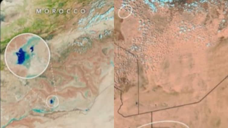 कैसे बदल गया सहारा रेगिस्तान का रंग, कभी सोचा ना था वो हो गया