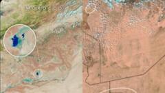 कैसे बदल गया सहारा रेगिस्तान का रंग, कभी सोचा ना था वो हो गया