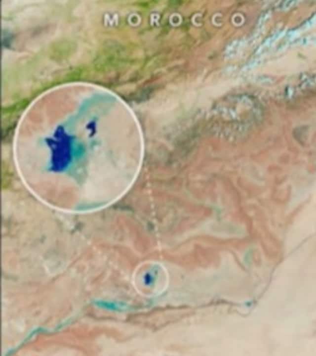 अफ्रीका के सहारा डेजर्ट की ऐसी तस्वीरें सामने आई हैं, जिनमें यह सूखा इलाका हरा भरा दिखाई दे रहा है. सहारा डेजर्ट की ये सैटेलाइट इमेंज अमेरिकी स्पेस एजेंसी नासा ने जारी की हैं.