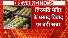 Tirupati Prasad Controversy: 9 सदस्यीय SIT ने शुरू की घी मिलावट की जांच | ABP | Breaking |