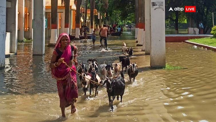 Bihar Weather Today: Heavy Rain With Lightning And Thunderstorm Predicted In 14 Districts