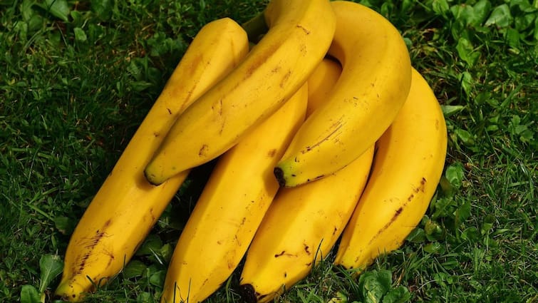 5 Simple Tricks To Keep Bananas Fresh And Spot Free For Days Banana: வாழைப்பழம் பிரெஷ்ஷாக இருக்க சில டிப்ஸ் இதோ!