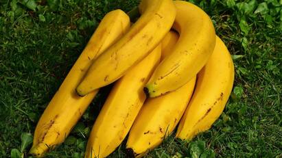 5 Simple Tricks To Keep Bananas Fresh And Spot Free For Days Banana: வாழைப்பழம் பிரெஷ்ஷாக இருக்க சில டிப்ஸ் இதோ!