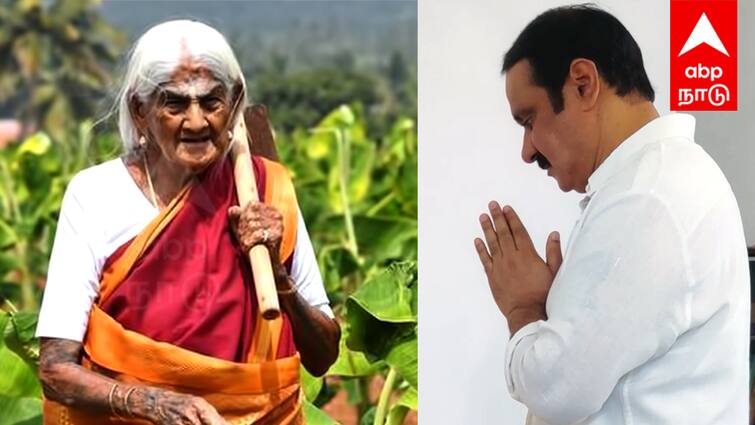 Padma shri pappammal Patty passed away Anbumani Ramadoss condolence - TNN Padma Shri Pappammal: பத்மஸ்ரீ பாப்பம்மாள் பாட்டி மறைவு - அன்புமணி இராமதாஸ் இரங்கல்