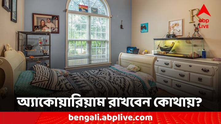 Vastu Tips: ঘর সাজানো তো বটেই তার পাশাপাশি বিভিন্ন জিনিস ঘরে রাখলে আসে সুখ সমৃদ্ধ