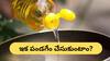 Edible Oil Prices: నెలలో 26 శాతం పెరిగిన వంటనూనె ధరలు - టైమ్‌ చూసి పెట్టిన వాత ఇది