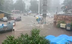 Junagadh Rain: જૂનાગઢમાં ધોધમાર વરસાદ,  ભવનાથમાં રસ્તાઓ પર નદી વહેતી હોય તેવા દ્રશ્યો 