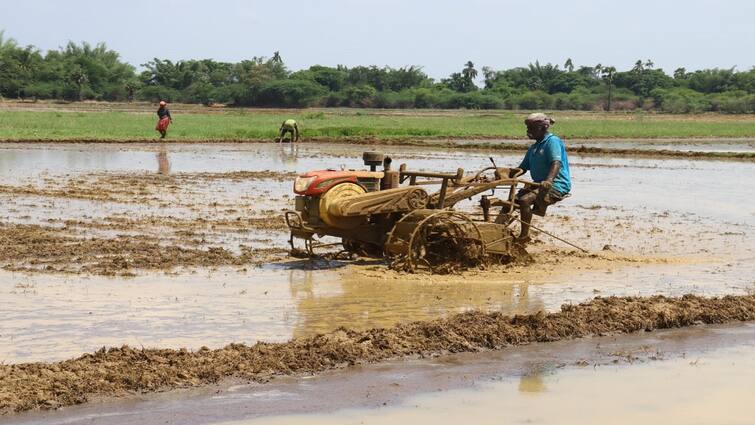Faith is life Farmers started samba cultivation in anticipation of Lord Varuna நம்பிக்கை அதுதானே வாழ்க்கை... வருணபகவானை எதிர்பார்த்து சம்பா சாகுபடியை தொடங்கிய விவசாயிகள் 
