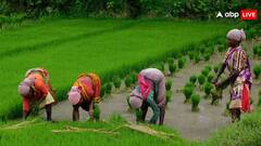 इन किसानों के खाते में नहीं आएंगे 18वीं किस्त के दो हजार रुपये, जान लें कारण