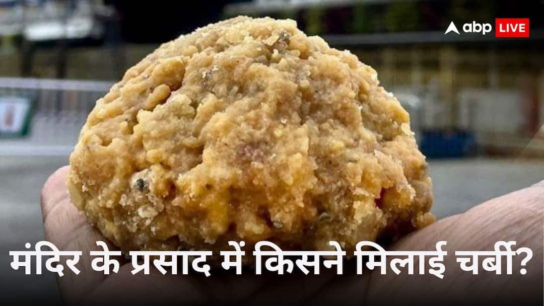 SIT formed in case of animal fat in laddus of Lord Venkateswara temple in Tirupati तिरुपति मंदिर के लड्डू में कैसे मिलाया गया 'बीफ फैट'? अब राज से पर्दा उठाने को सरकार ने बनाया यह प्लान