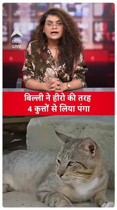 Cat Fights Alone Against 4 Dogs Like A Hero, Photo Goes Viral On The Internet | ABP Live