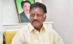 அடிக்கடி மின் வெட்டு , பொருளாதார வளர்ச்சி இல்லை - ஓ.பி.எஸ் கண்டனம்