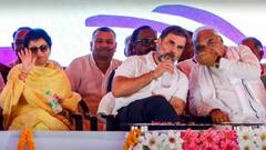 तीन दिन में राहुल गांधी करेंगे धमाल! हरियाणा फतह करने के लिए कांग्रेस ने बनाया धांसू प्लान