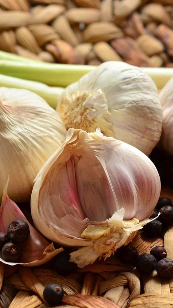 लसणाच्या पाकळ्या तुपात परतून खाण्याचे फायदे काय?