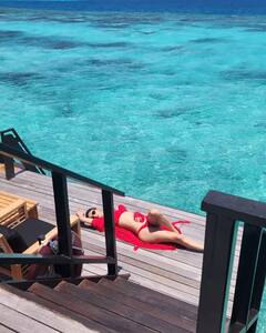 Happy Birthday Mouni Roy:  నెట్టింట్లో మౌనీ రాయ్ మంటలు..హ్యాపీ బర్త్డే బ్రహ్మాస్త్ర బేబీ అంటూ నెటిజన్లు పోస్టులు!