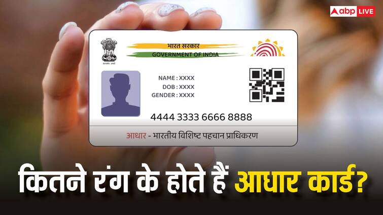 कितने कलर के होते हैं आधार कार्ड? जानें इन सब में क्या होता है अंतर aadhaar card types know how many colours does aadhaar card have know the difference between them कितने कलर के होते हैं आधार कार्ड? जानें इन सब में क्या होता है अंतर