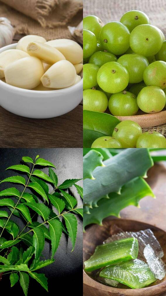 డయాబెటిస్ ను కంట్రోల్ చేసే బెస్ట్ ఫుడ్స్ ఇవే!