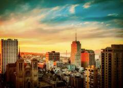 ਇੱਕ ਅਜਿਹਾ ਦੇਸ਼ ਜਿੱਥੇ ਨਹੀਂ ਹੈ ਇੱਕ ਵੀ ਜੰਗਲ, ਨਾਮ ਜਾਣਕੇ ਨਹੀਂ ਹੋਵੇਗਾ ਯਕੀਨ !