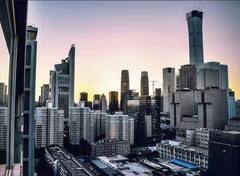 ਇੱਕ ਅਜਿਹਾ ਦੇਸ਼ ਜਿੱਥੇ ਨਹੀਂ ਹੈ ਇੱਕ ਵੀ ਜੰਗਲ, ਨਾਮ ਜਾਣਕੇ ਨਹੀਂ ਹੋਵੇਗਾ ਯਕੀਨ !