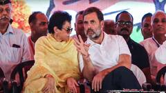 तीन दिन में राहुल गांधी करेंगे धमाल! हरियाणा फतह करने के लिए कांग्रेस ने बनाया धांसू प्लान