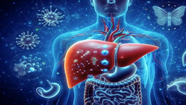 ભારતમાં 2017માં લિવરના રોગોને કારણે સૌથી વધુ મૃત્યુ થયા હતા (સિરોસિસ અને અન્ય ક્રોનિક લિવર રોગોને કારણે લગભગ 0.22 મિલિયન મોત થયા છે)