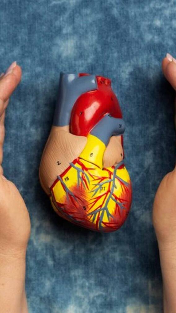 इस उम्र के लोगों की हो रही हार्ट अटैक से मौत