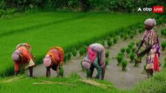 PM Kisan Yojana: ਇਨ੍ਹਾਂ ਕਿਸਾਨਾਂ ਦੇ ਖਾਤੇ 'ਚ ਨਹੀਂ ਆਉਣਗੇ 18ਵੀਂ ਕਿਸ਼ਤ ਦੇ ਦੋ ਹਜ਼ਾਰ ਰੁਪਏ, ਜਾਣੋ ਕਾਰਨ