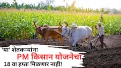 PM किसान योजनेचे 18 व्या हप्त्याचे दोन हजार रुपये 'या' शेतकऱ्यांच्या खात्यात येणार नाहीत, पण कारण काय?
