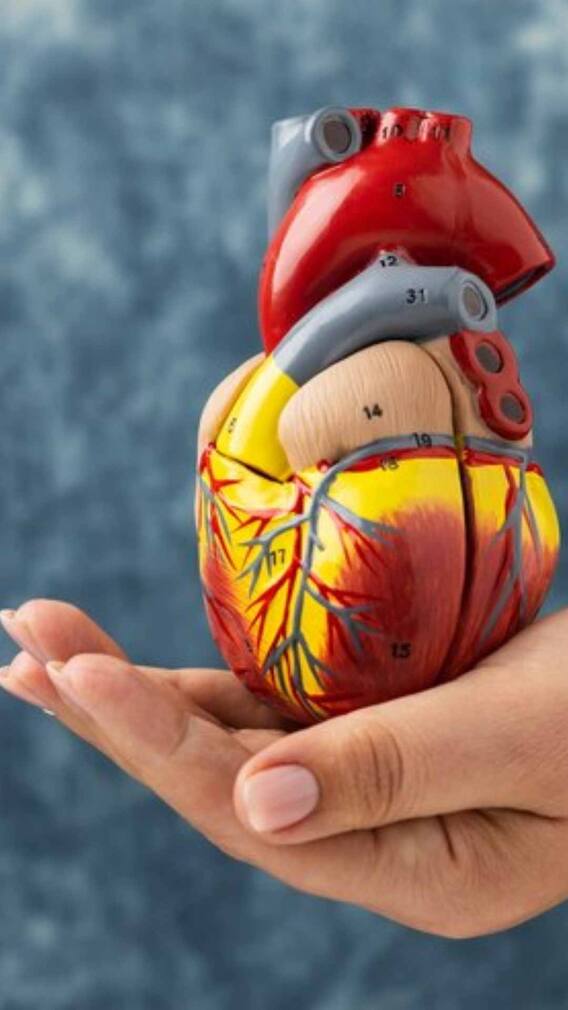 बिना जिम जाए भी कैसे फिट रख सकते हैं हार्ट हेल्थ