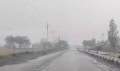 Botad Rain: બોટાદ, બરવાળા અને ગઢડા પંથકમાં વીજળીના કડાકા સાથે વરસાદ 