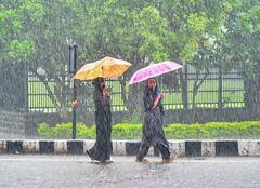 ठंड देगी दस्तक या फिर रहेगा गर्मी का सितम? जानें अपने शहर में अक्टूबर के पहले हफ्ते के मौसम का हाल