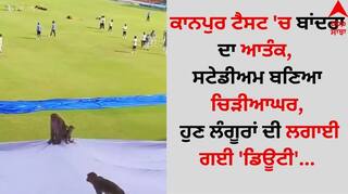IND vs BAN: ਕਾਨਪੁਰ ਟੈਸਟ 'ਚ ਬਾਂਦਰਾ ਦਾ ਆਤੰਕ, ਸਟੇਡੀਅਮ ਬਣਿਆ ਚਿੜੀਆਘਰ, ਹੁਣ ਲੰਗੂਰਾਂ ਦੀ ਲਗਾਈ ਗਈ 'ਡਿਊਟੀ'...